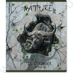 Тетрадь  48л клетка "Nature Power" /твин-лак /ассорти | Фото 4
