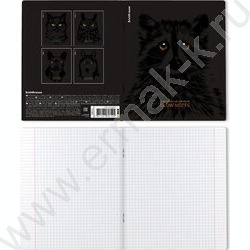 Тетрадь  48л клетка "Gaze" /лам. soft-touch + выбор. УФ-лак /ассорти | Фото 7