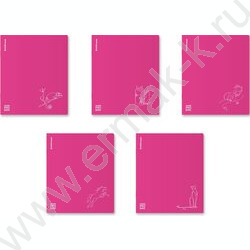 Тетрадь  48л А5+ клетка/пластик обл./ "Silhouette" /розовый /ассорти | Фото 1