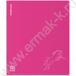 Тетрадь  48л А5+ клетка/пластик обл./ "Silhouette" /розовый /ассорти | Фото 3