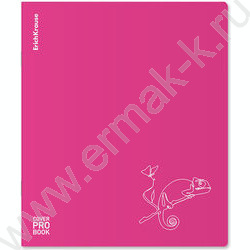 Тетрадь  48л А5+ клетка/пластик обл./ "Silhouette" /розовый /ассорти | Фото 5