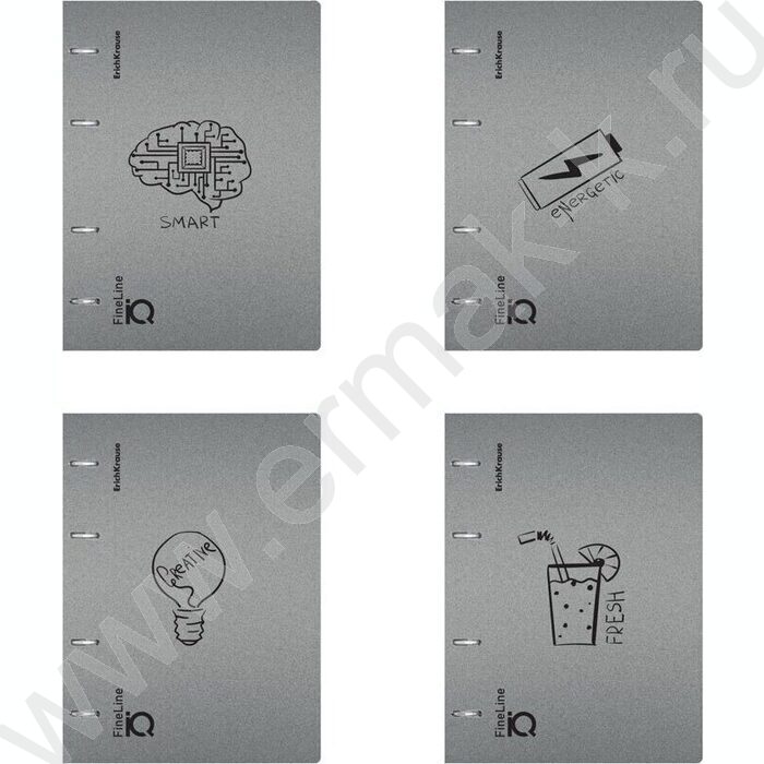 Тетрадь 100л А5 клетка/кольца/пластик обл./  "IQ FineLine, Life Style" /серебристая | Фото 1