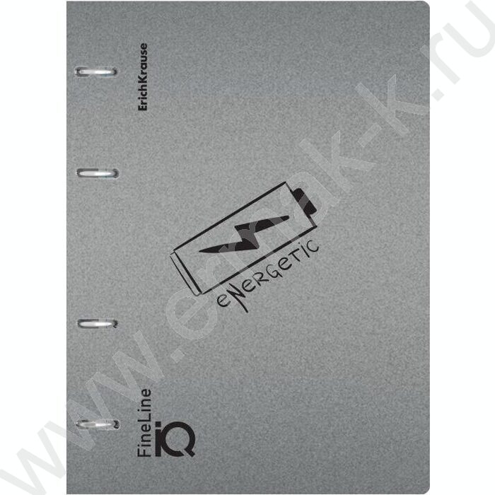 Тетрадь 100л А5 клетка/кольца/пластик обл./  "IQ FineLine, Life Style" /серебристая | Фото 3