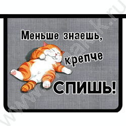 Папка д/тетрадей А5 пластик молния сверху Спящий котик | Фото 1
