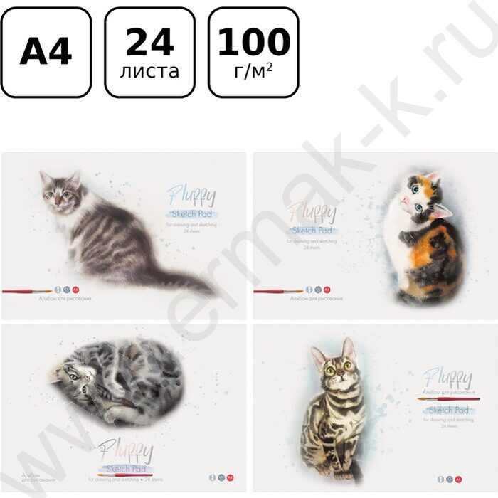 Альбом д/рисования 24л "Акварельные котики" ассорти | Фото 9