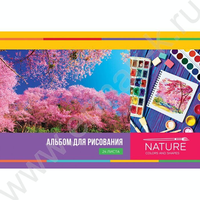 Альбом д/рисования 24л "Мое вдохновение" ассорти, эконом | Фото 2