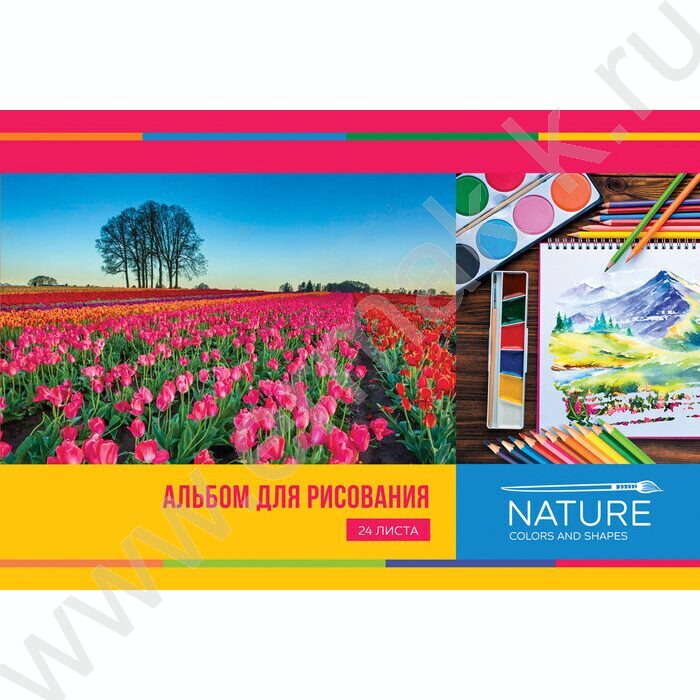 Альбом д/рисования 24л "Мое вдохновение" ассорти, эконом | Фото 3