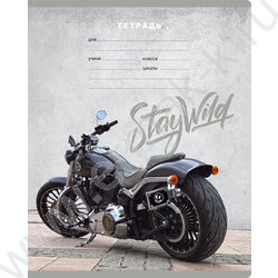 Тетрадь  12л клетка "Stay wild" /выб.лак/ ассорти | Фото 3