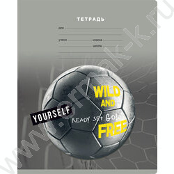 Тетрадь  12л клетка "Stay wild" /выб.лак/ ассорти | Фото 5