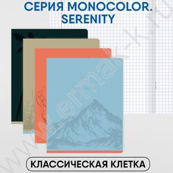 Тетрадь  48л клетка "Monocolor. Serenity" выб. лак /ассорти | Фото 3