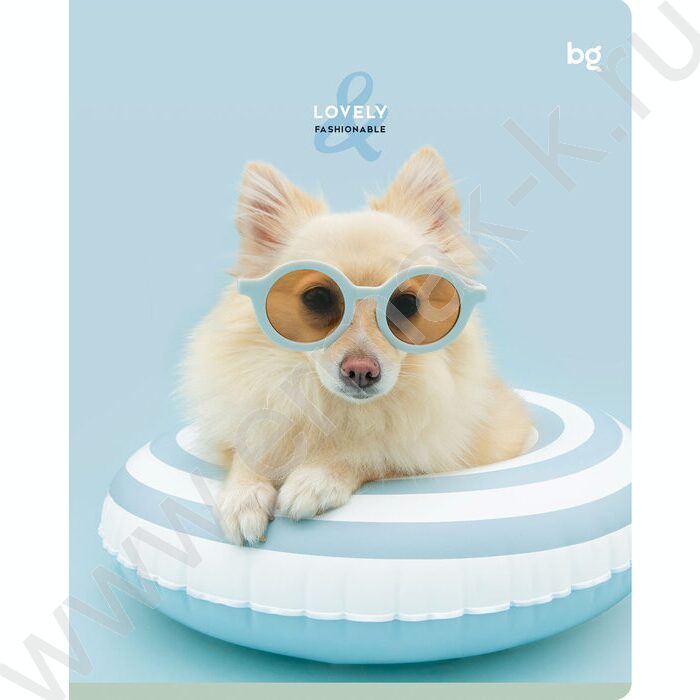 Тетрадь  48л линейка "Lovely" микро sandy-touch лак/ ассорти | Фото 2