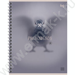 Тетрадь  60л клетка/спираль "Phenomenon" ассорти | Фото 4