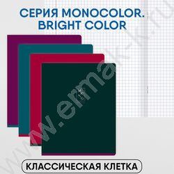 Тетрадь  96л клетка "Monocolor. Bright color" тиснение фольгой/ ассорти | Фото 3