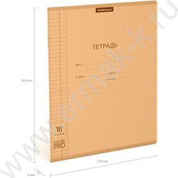 Тетрадь  18л клетка с пластиковой обложкой "Классика CoverPrо Neon" /оранжевый | Фото 4
