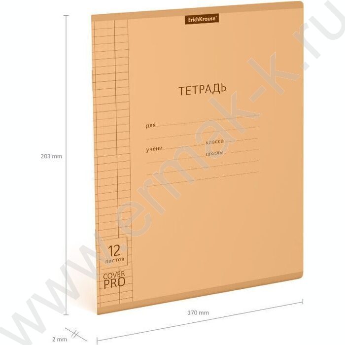 Тетрадь  12л клетка с пластиковой обложкой "Классика CoverPrо Neon" /оранжевый | Фото 4