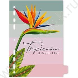 Разделитель листов лам.картон А5 с рисунком-8шт "Tropicana" | Фото 2