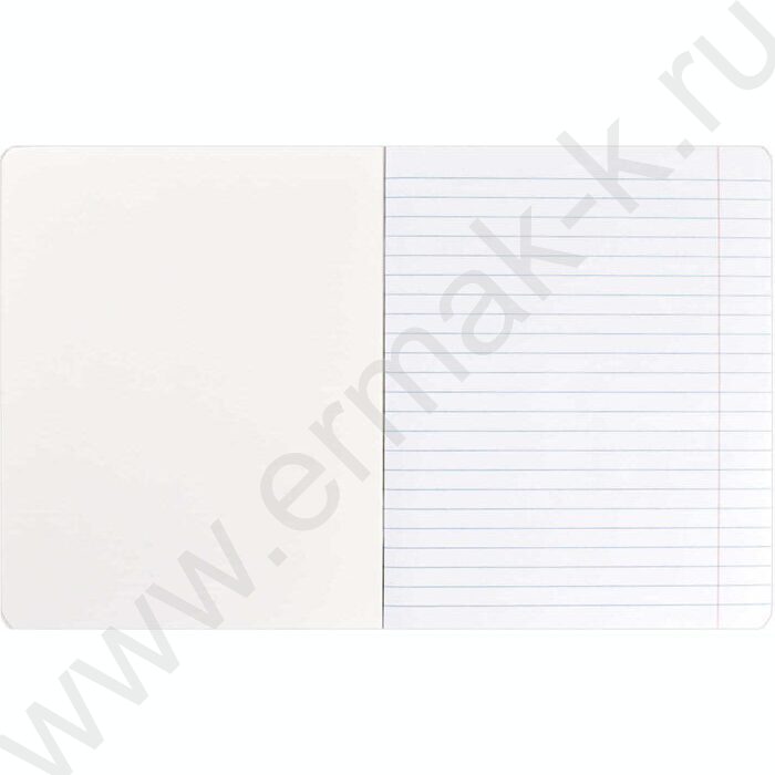 Тетрадь  12л линейка "Городские кошечки" /выборочный  УФ-лак/ ассорти | Фото 3