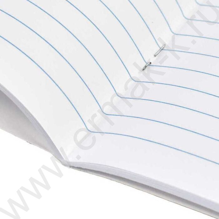 Тетрадь  12л линейка "Городские кошечки" /выборочный  УФ-лак/ ассорти | Фото 5