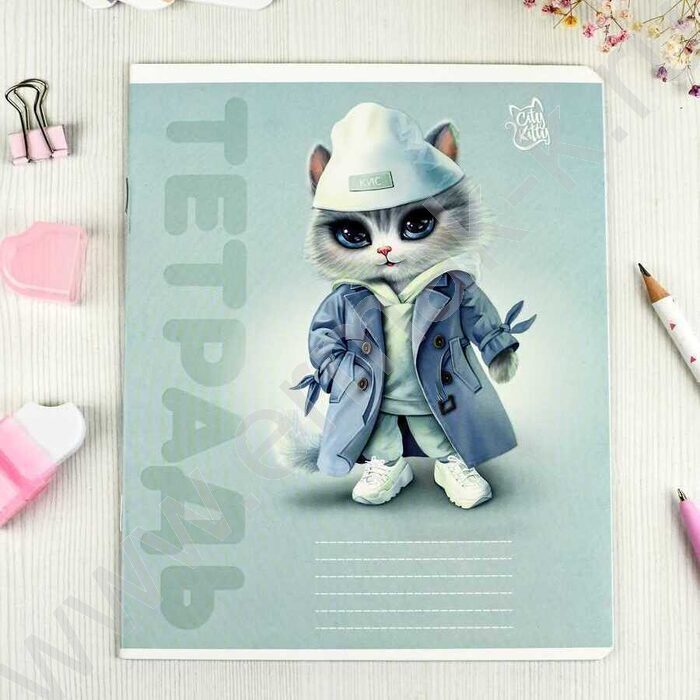 Тетрадь  12л линейка "Городские кошечки" /выборочный  УФ-лак/ ассорти | Фото 9