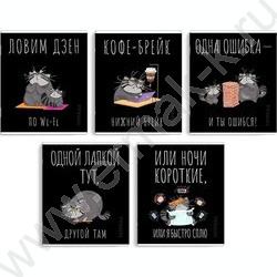 Тетрадь  48л клетка "Серый кот" /выборочный ТВИН лак/ ассорти | Фото 1