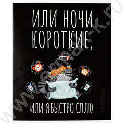 Тетрадь  48л клетка "Серый кот" /выборочный ТВИН лак/ ассорти | Фото 2
