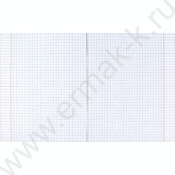 Тетрадь  48л клетка "Серый кот" /выборочный ТВИН лак/ ассорти | Фото 3