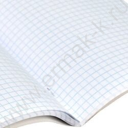 Тетрадь  48л клетка "Серый кот" /выборочный ТВИН лак/ ассорти | Фото 4