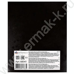 Тетрадь  48л клетка "Серый кот" /выборочный ТВИН лак/ ассорти | Фото 5