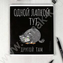 Тетрадь  48л клетка "Серый кот" /выборочный ТВИН лак/ ассорти | Фото 6