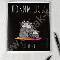 Тетрадь  48л клетка "Серый кот" /выборочный ТВИН лак/ ассорти | Фото 7