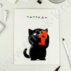 Тетрадь  48л клетка "Черный кот" /выб.ТВИН-лак/ ассорти | Фото 6