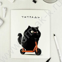 Тетрадь  48л клетка "Черный кот" /выб.ТВИН-лак/ ассорти | Фото 7