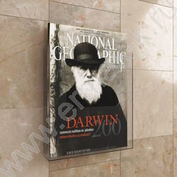 Карман настенный А4 210*297мм вертикальный, полистирол /2 штуки в упаковке. | Фото 2