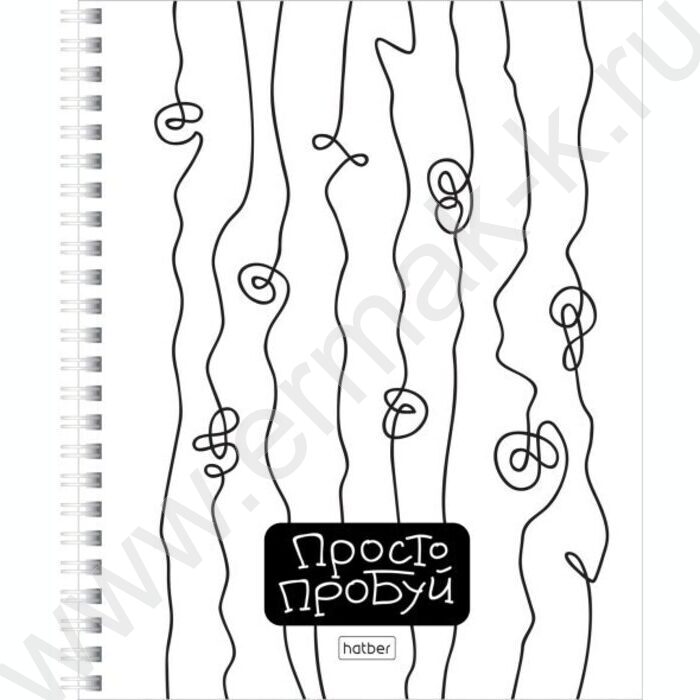 Тетрадь  48л клетка/спираль "Просто" /глянец./ 4вида | Фото 3