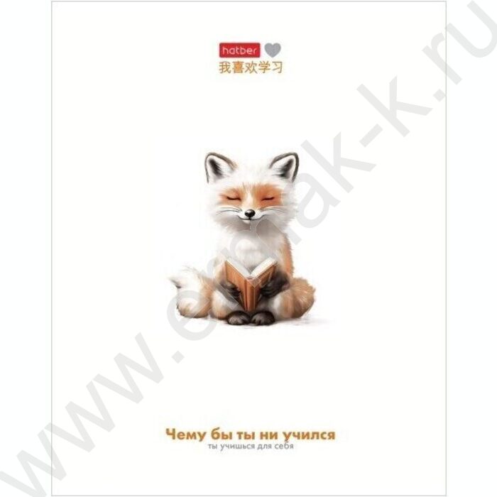 Тетрадь  48л клетка "Я люблю учиться" /мат.лам/ 5видов | Фото 3