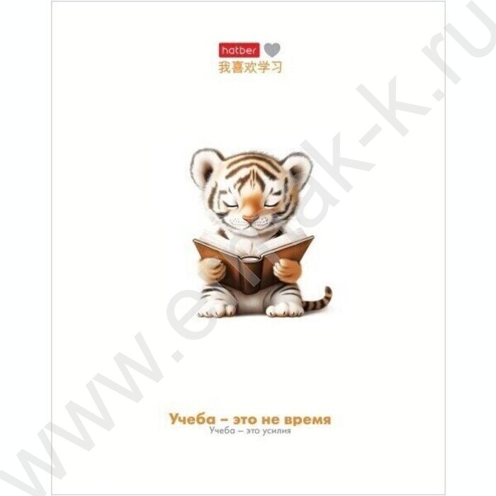 Тетрадь  48л клетка "Я люблю учиться" /мат.лам/ 5видов | Фото 5