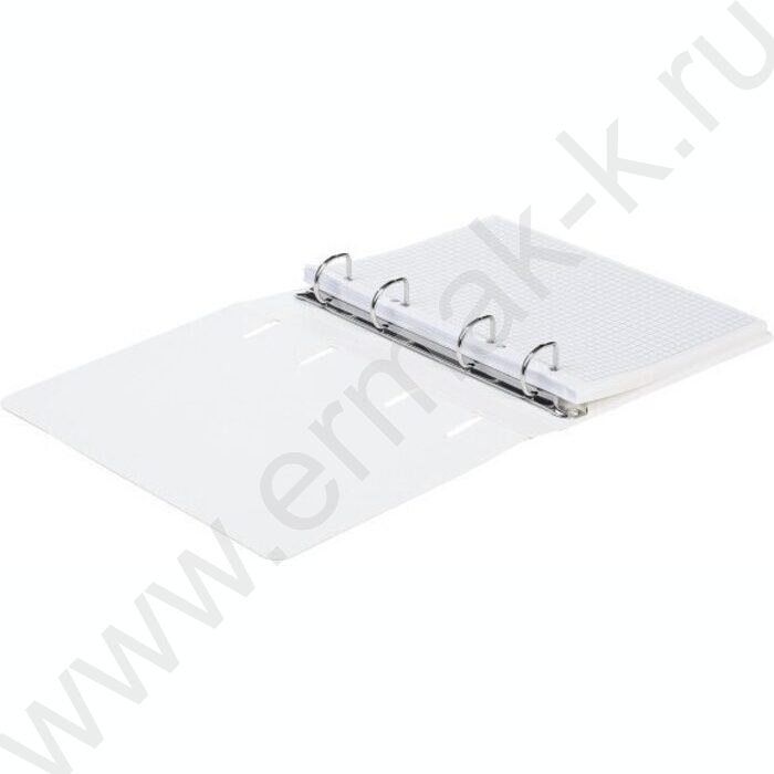 Тетрадь  80л клетка/кольца /смен.блок /мат.лам/  "Color Line" | Фото 3