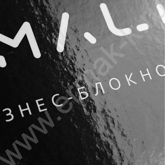 Бизнес-блокнот 200л А4 тв.обл "Минимализм в чёрном" /глянец/ | Фото 5