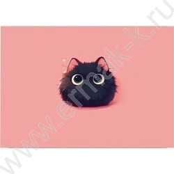 Альбом д/рисования 40л "Чёрный котёнок" | Фото 3