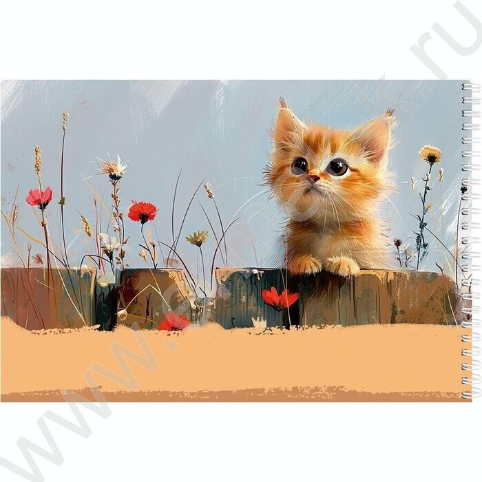 Альбом д/рисования-спираль 40л "Очаровательный рыжий котёнок" /микроперфорация/ | Фото 3
