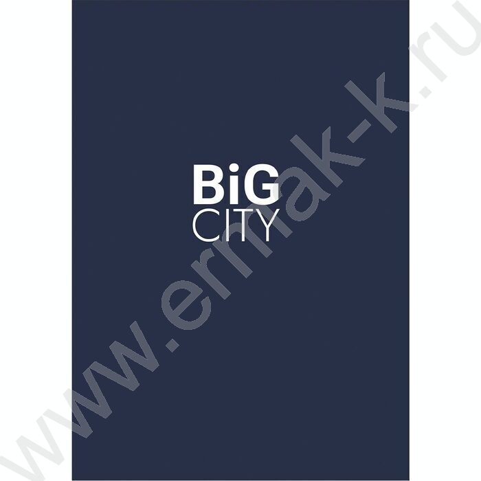 Зап. книжка  64л А6 тв.обл. "Здание большого города" /глянец | Фото 4