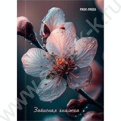 Зап. книжка  64л А7 тв.обл. "Красивый цветок" /глянец | Фото 2