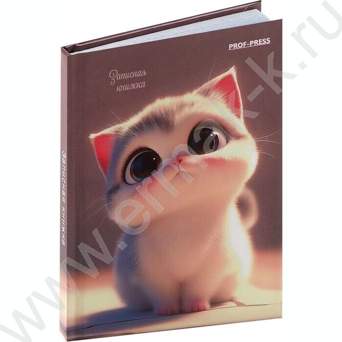 Зап. книжка  64л А7 тв.обл. "Милый котенок-2" /глянец | Фото 1