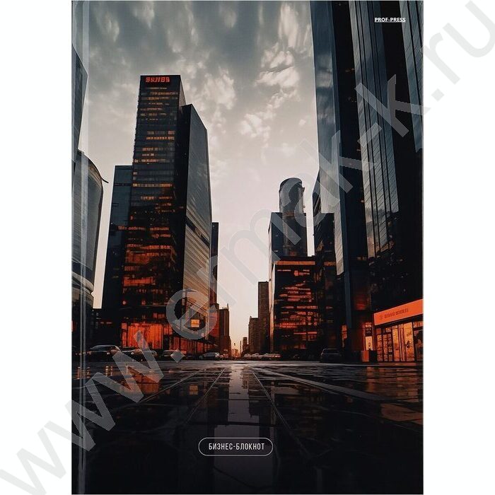 Бизнес-блокнот  96л А4 тв.обл "Мегаполис-2" /глянец/ | Фото 2