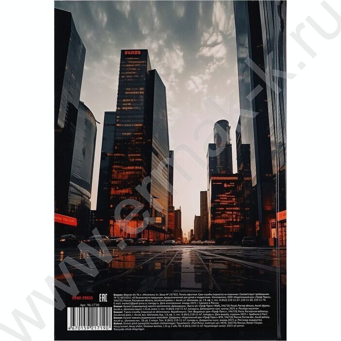 Бизнес-блокнот  96л А4 тв.обл "Мегаполис-2" /глянец/ | Фото 4