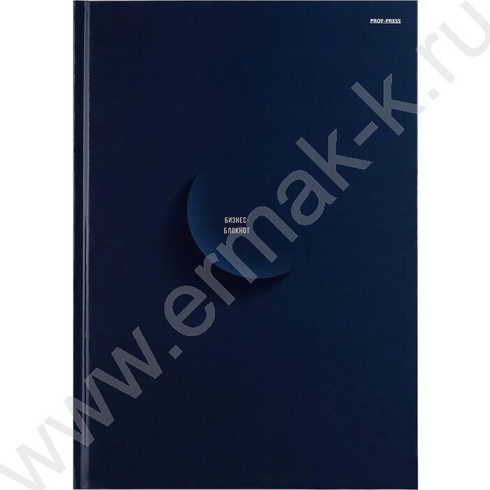 Бизнес-блокнот  96л А4 тв.обл "Минимализм в синем" /глянец/ | Фото 2
