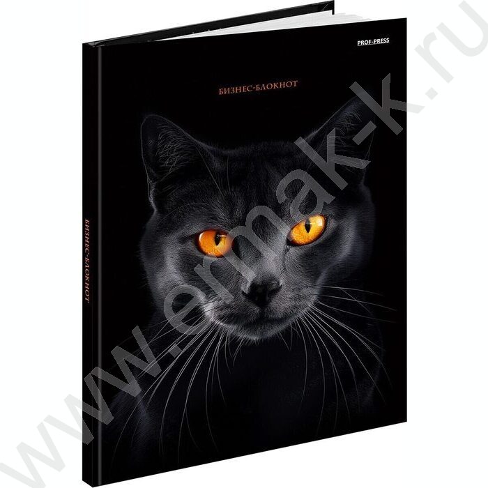 Бизнес-блокнот  80л А5 тв.обл "Чёрная кошка-2" /глянец/ | Фото 1