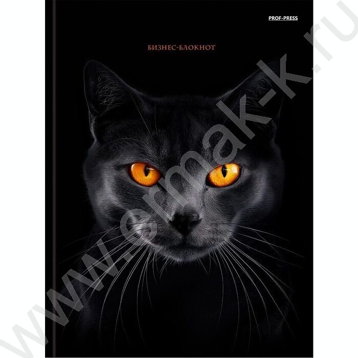 Бизнес-блокнот  80л А5 тв.обл "Чёрная кошка-2" /глянец/ | Фото 2