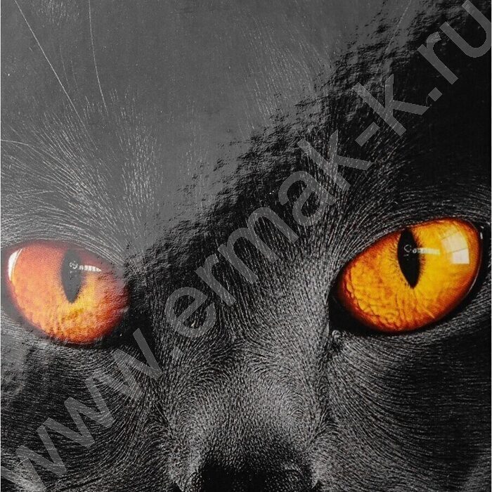 Бизнес-блокнот  80л А5 тв.обл "Чёрная кошка-2" /глянец/ | Фото 5