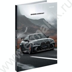 Бизнес-блокнот  80л А6 тв.обл "Авто в горах-2" /глянец/ | Фото 1
